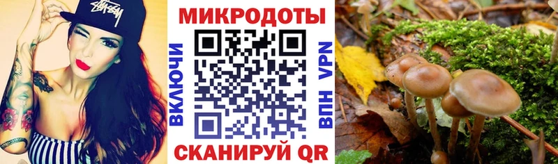 Псилоцибиновые грибы Cubensis  хочу наркоту  mega как войти  Сясьстрой 